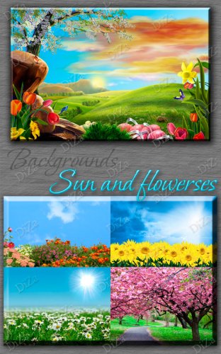 Backgrounds Sun and flowerses