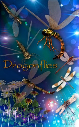  Dragonfly- 